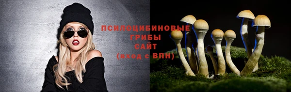 бутират Бугульма