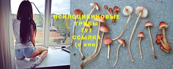 марки nbome Бородино